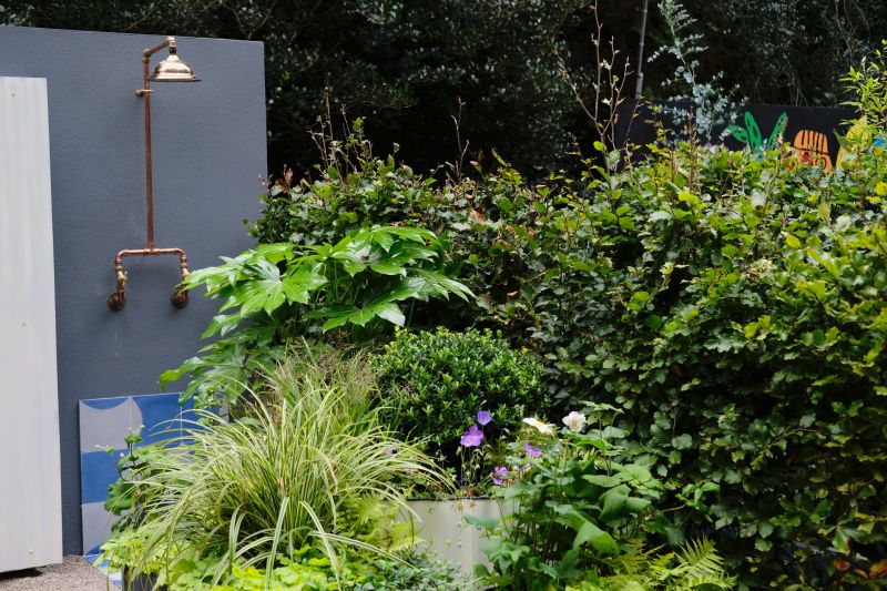 Shower Plumbing Installation