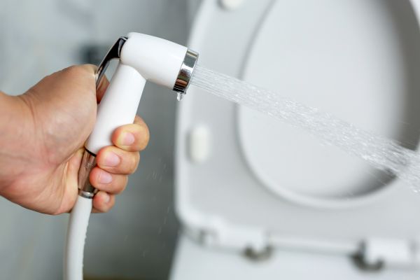 Cost of Bidet Installation in Hilliard