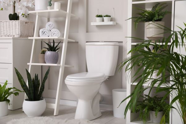 Toilet Repair in Hilliard
